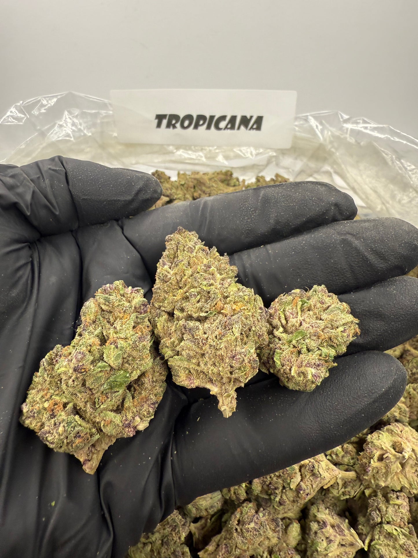 Tropicana