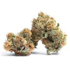 Gelato 42