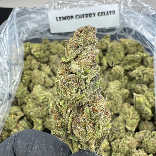 Lemon Cherry Gelato
